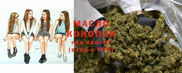 индика Берёзовка