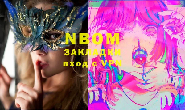 PSILOCYBIN Галич