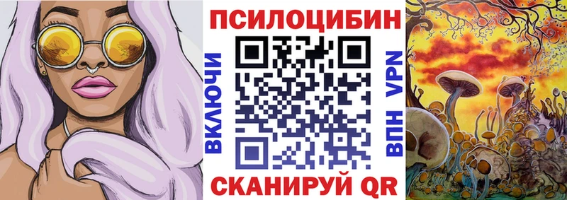 купить цена даркнет Telegram Псилоцибиновые грибы Psilocybine cubensis Велиж hydra tor